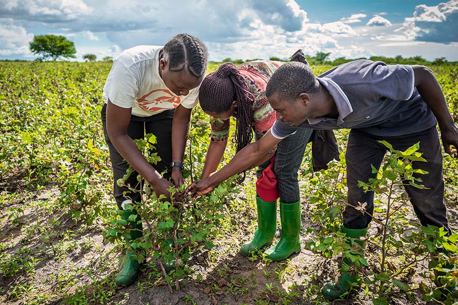LPP as a partner of Cotton made in Africa LPP as a partner of Cotton made in Africa