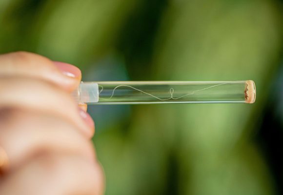 LPP rozszerza współpracę ze start-upem Use Waste w zakresie technologii recyklingu odpadów tekstylnych