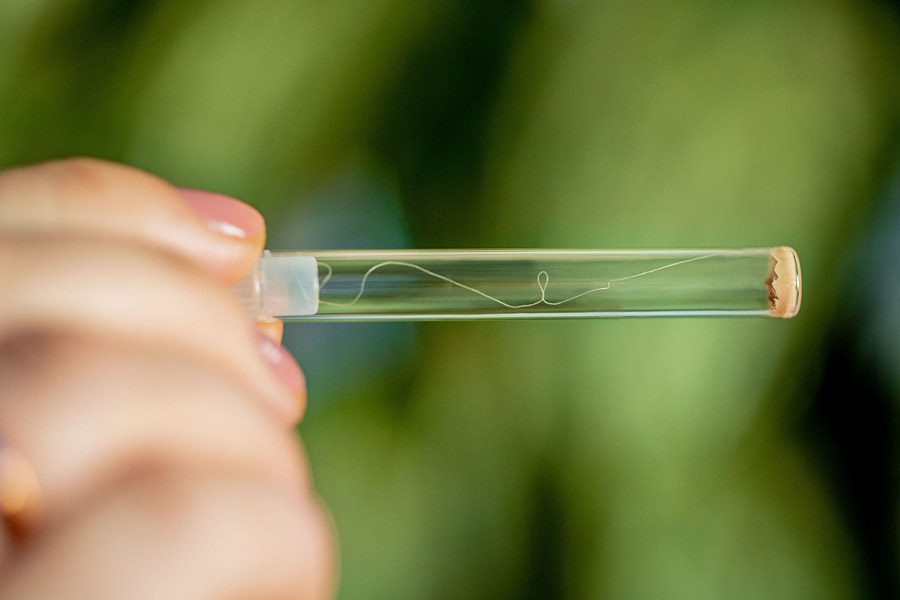 LPP extends collaboration with Use Waste start-up on textile waste recycling technology